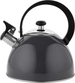 Florina Brillo Fluitketel 2,5L Voor Alle Warmtebronnen - Waterketel - Donkergrijs