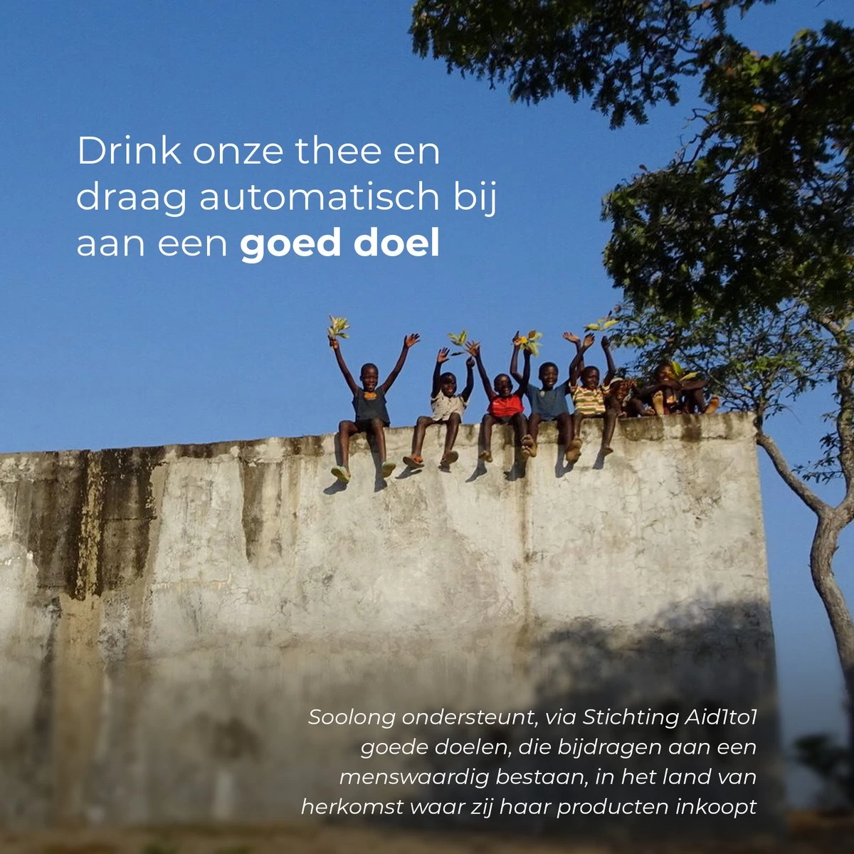 Soolong Thee - Water - Thermometer - 1stuks - Afbeelding 2